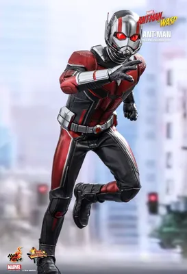 Hot Toys Ant-Man