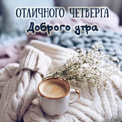 доброе #хорошегонастроения #пожелания #привет #доброеутро #хорошегодн... |  TikTok