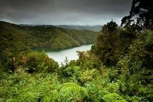 The Nature Conservancy in Chile