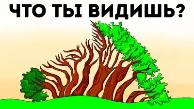 Женщина или череп: что ты видишь на фото и чем эта провокация грозит