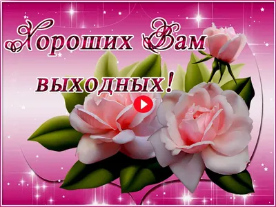 Отличных выходных, вы лучшие!! | Наталья Бусырева | Дзен