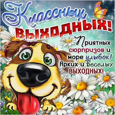 Открытки \"Хороших выходных!\" (253 шт.)