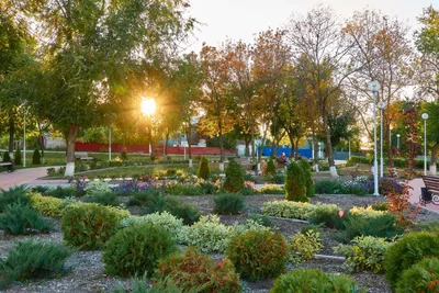 Посадка растений и деревьев на дачном участке от GardenPark