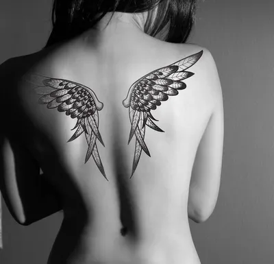 красочные татуировки с перьями на спине для девушек, тату картинки для  женщин, тату, искусство фон картинки и Фото для бесплатной загрузки