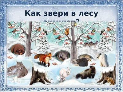 [77+] Картинки диких животных зимой обои