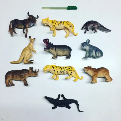 Мини-игрушка для диких животных, 12 шт./компл., миниатюрные игрушки для  животных, дикий лес, животные для обучения, сувениры для вечеринки,  игрушки, Топпер для кексов для мальчиков | AliExpress