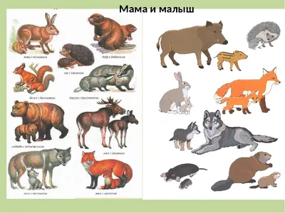 Игрушка фигурка Masai Mara Семья обезьян мандрил Мир диких животных купить  по цене 720 ₽ в интернет-магазине Детский мир