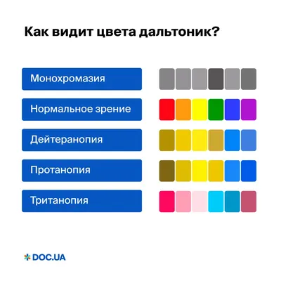 Очки для дальтоников 8053 по рецепту от магазина MarketOptic