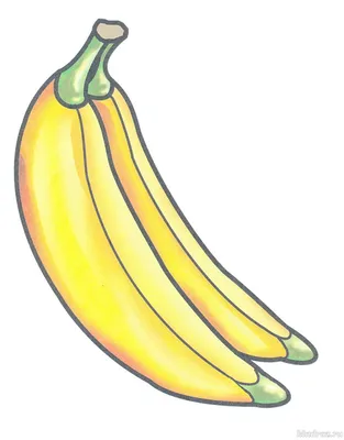 Бананы | Банан, Бананы, Картинки