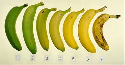 Банан детский рисунок - 80 фото
