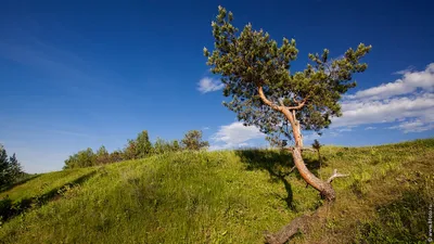 230 000 000 Фото высокого разрешения в Фотобанке Фотодженика