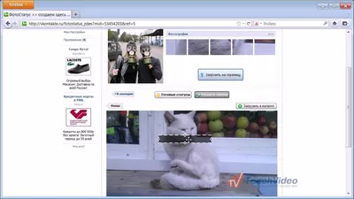 Как установить фотостатус ВКонтакте Почему Картинки не отображаются в  фотостатусе? - YouTube