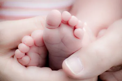 Большие черно-белые контрастные картинки KoroBoom для новорожденных  малышей, 20 двусторонних карточек Домана для младенцев-грудничков - купить  с доставкой по выгодным ценам в интернет-магазине OZON (685816603)