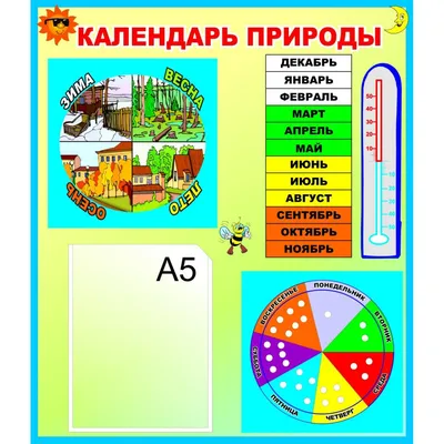 Календарь природы» для детей - Скачать шаблон | Раннее развитие