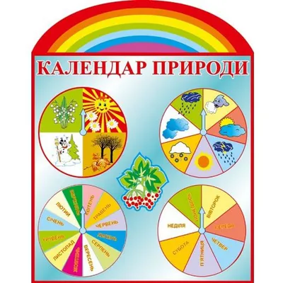 Уголок природы в Детском саду своими руками | Новости сайта «Країна-стендів»