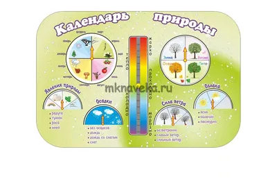 Купить бизиборд \"Календарь природы\", цены на Мегамаркет | Артикул:  100025331340