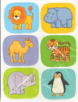 Книга \"Зоопарк. IQ-Половинки. Развивающая игра для детей от 1 года\" -  купить книгу в интернет-магазине «Москва» ISBN: 978-5-8112-6534-3, 896030