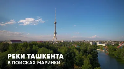 Публикации по тегу: Маринка