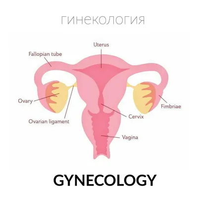 Супер детальная детская карта мира (на английском языке)» — увлекательный  сюжет для юных исследователей. Обои на заказ - печать бесшовных  дизайнерских обоев для стен по своему рисунку