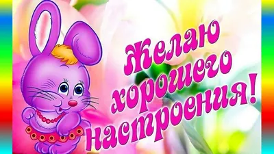 X 上的 Корнилова Наталия Николаевна：「@Olga_Zah Чудесного дня, Олечка!! Хорошего  настроения ☺☺😚😚! https://t.co/Hr5TcWrXU9」 / X