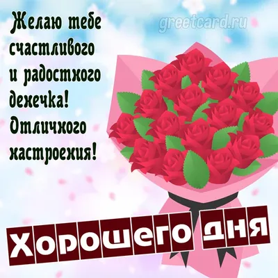 Подборка мемов дня про женщин и деньги, чтобы поднять настроение до  максимума | Приключения ВыгодоисКАТеля | Дзен