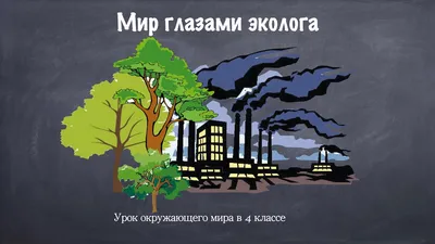 Предметная неделя по окружающему миру в начальной школе | МАОУ \"Средняя  школа №115\"