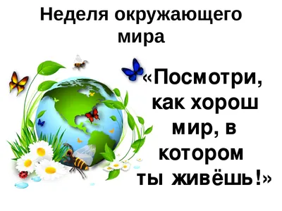 Предметная неделя окружающего мира в начальных классах — МОУ  \"Школа-гимназия №6\" г. Джанкоя