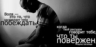 Тату со смыслом для девушек - какую выбрать - Волжский.ру