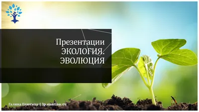 Экология. Компакт-диск для компьютера: Подготовка к экзамену. Семинары.  Рефераты. Презентации. – купить по цене: 67,50 руб. в интернет-магазине  УчМаг