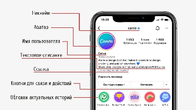 Как правильно оформить шапку профиля Инстаграм в 2022 – Canva