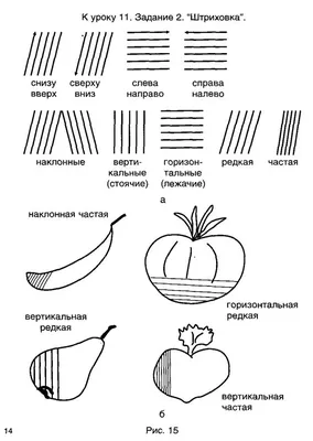 Штриховка по форме. Дополнительный бонус к реалистичности и объему | РИСУЮ  ДОМА | Дзен