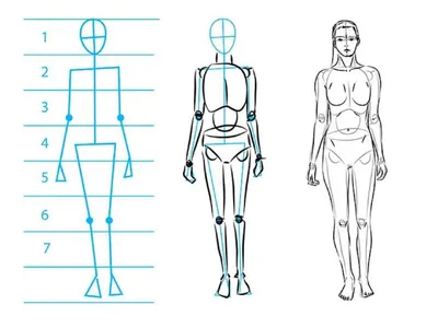 Девушки в полный рост для срисовки