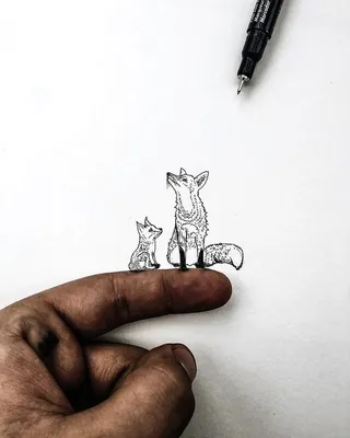 Кошечка Нала. Рисунок ручкой | Пикабу