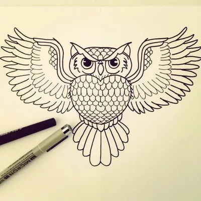 [75+] Картинки для срисовки совы обои