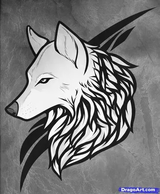 [78+] Картинки для срисовки волки обои