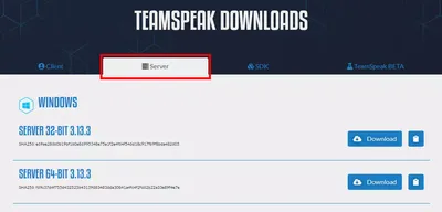 TeamSpeak 3.0 Download (Free) - ts3client_win32.exe