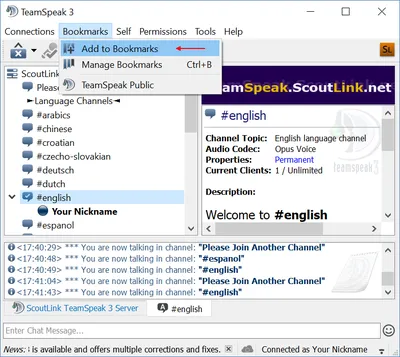 How to host your own TeamSpeak server - IONOS
