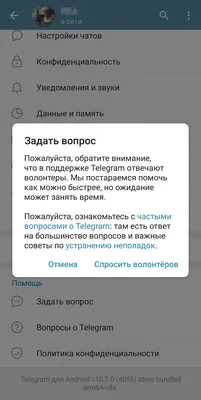 Техподдержка «Телеграма»: как написать и обратиться через бота, форму  обратной связи и другими способами