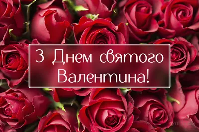 День святого Валентина-2023 — поздравления, проза, открытки и картинки на  украинском для вайбера - Телеграф