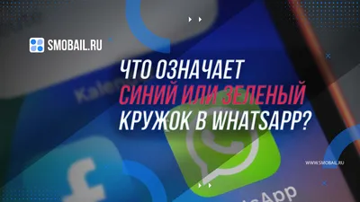 Статус Ватсап со смыслом: 615 красивых, прикольных и коротких статусов  WhatsApp