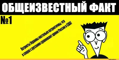 На случай важных переговоров | Мемы, Попугай, Смешные мемы