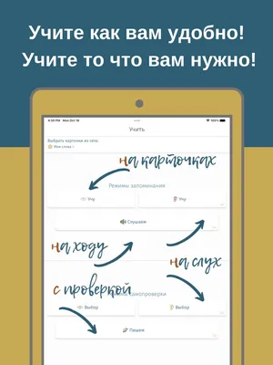 Эффективные техники запоминания для студентов, которые помогут  подготовиться к экзаменам - МЕТА