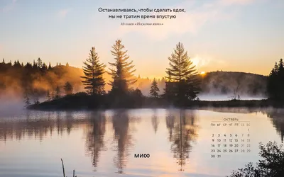 Вдохновляющие обои с календарями и цитатами на октябрь 2023 года - Блог  издательства «Манн, Иванов и Фербер»