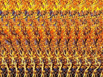 3D картинки для глаз красивые (36 фото) • Прикольные картинки и юмор |  Magic eye pictures, Magic eyes, Illusions