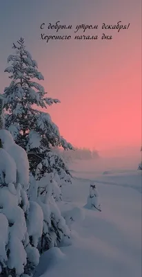 Открытки \"Доброго утра декабря!\" бесплатно (152 шт.)