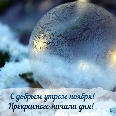 С добрым ##зимним##утром#любви #пушистой вам зимы##здоровья# #и обяз... |  TikTok