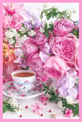 Вот такое доброе утро ✨ Мои любимые, белые 🌹 . . #цветы #розы #белыерозы # доброеутро #gm #goodmorning #roses | Instagram