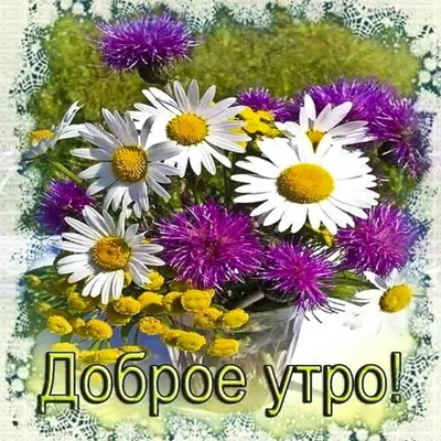 Доброе утро ☀️☕️🌷 - Мир в цветах радуги | Facebook