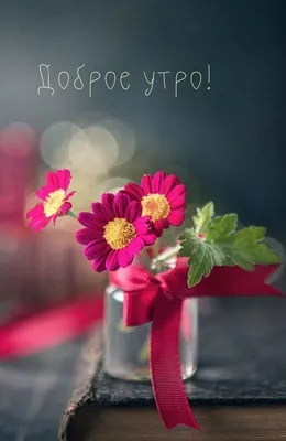 Доброе утро! Фото открытка с чаем и цветами» — создано в Шедевруме