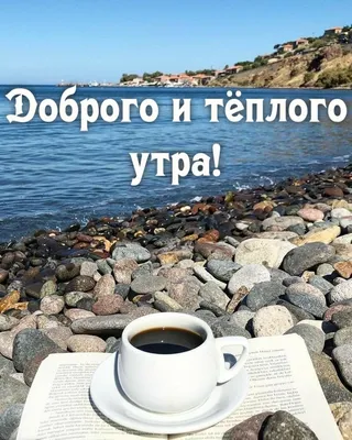 Доброе утро | Пикабу